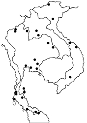 Erionota thrax thrax map