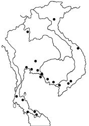 Erionota acroleuca apicalis map