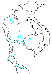 Pirdana hyela rudolphii map