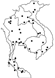Borbo cinnara map