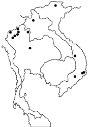 Zenonoida eltola eltola map