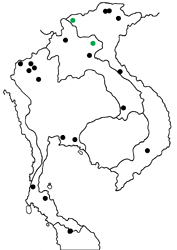 Baoris penicillata chapmani map
