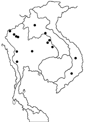 Caltoris tenuis map