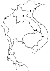 Caltoris bromus bromus map