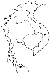 Caltoris plebeia map