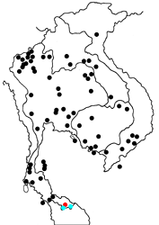 Leptosia nina nina map