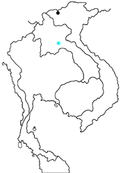 Aporia agathon bifurcata map