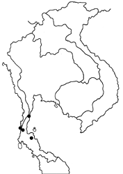 Delias singhapura singhapura map