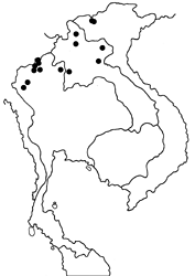 Delias berinda yedanula Map