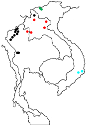 Delias belladonna endoi Map