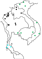 Delias acalis shinkaii Map