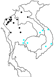 Delias agostina annamitica Map
