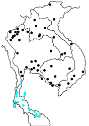 Delias hyparete indica Map