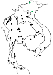 Cepora nerissa nerissa Map