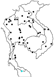 Cepora nadina andersoni Map