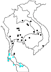 Cepora iudith malaya Map