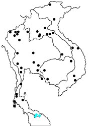 Prioneris philonome clemanthe Map