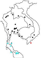 Appias paulina griseoides map