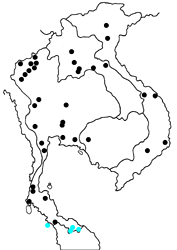Appias indra plana map