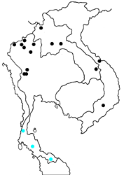Appias lalassis indroides map