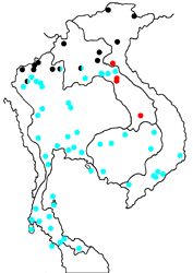 Ixias pyrene yunnanensis map