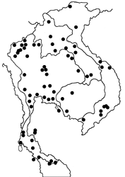 Hebomoia glaucippe glaucippe map