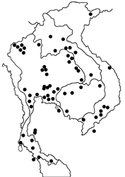 Pareronia anais anais map