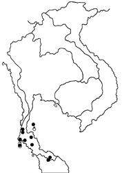 Pareronia valeria lutescens map