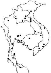 Catopsilia scylla cornelia map
