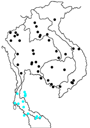 Gandaca harina burmana Map