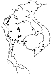Eurema laeta pseudolaeta Map