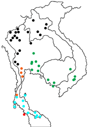 Eurema simulatrix sarinoides map