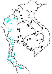 Eurema andersonii andersonii map