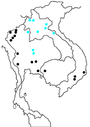 Eurema novapallida novapallida map