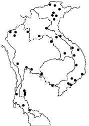 Danaus chrysippus chrysippus map