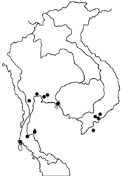 Danaus affinis malayana map