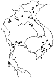 Tirumala limniace limniace map