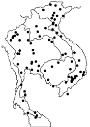 Tirumala septentrionis septentrionis map