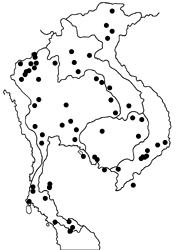 Parantica aglea melanoides map
