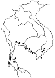 Parantica agleoides agleoides map
