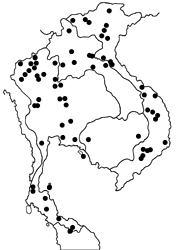 Parantica melaneus map