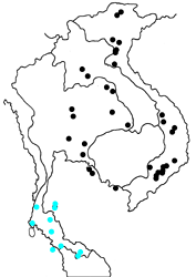 Ideopsis vulgaris contigua map