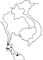 Idea lynceus lynceus map