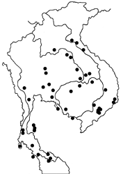 Euploea modesta modesta map