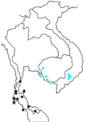 Euploea crameri bremeri ♂ map