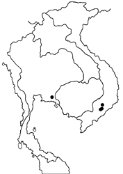 Euploea orontobates map