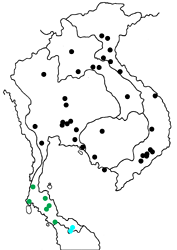 Euploea camaralzeman malayica map
