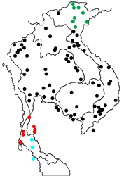 Euploea core godartii map