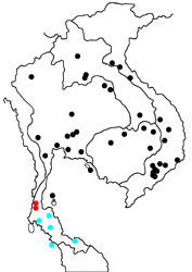 Euploea algea limborgii map