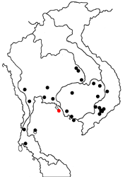 Euploea eyndhovii gardineri map